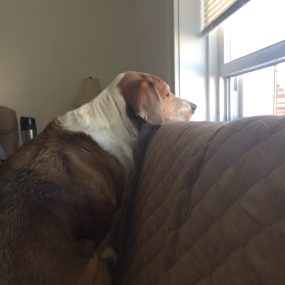 Meet your Posher, Jason - Picture 4 of 4